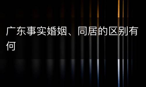 广东事实婚姻、同居的区别有何