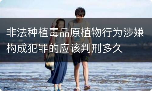 非法种植毒品原植物行为涉嫌构成犯罪的应该判刑多久