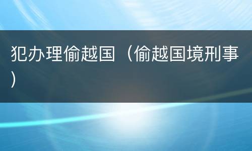 犯办理偷越国（偷越国境刑事）