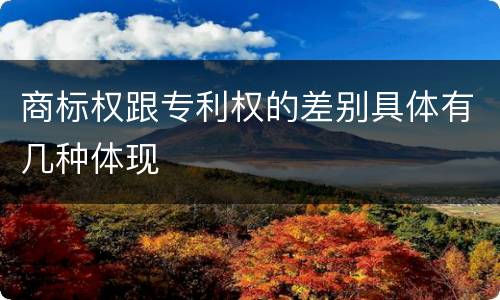 商标权跟专利权的差别具体有几种体现
