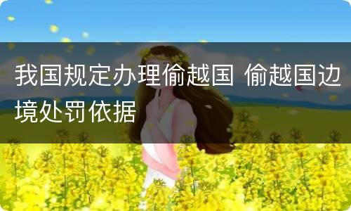 我国规定办理偷越国 偷越国边境处罚依据