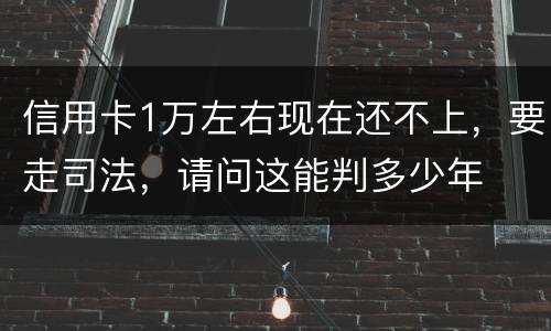 信用卡1万左右现在还不上，要走司法，请问这能判多少年