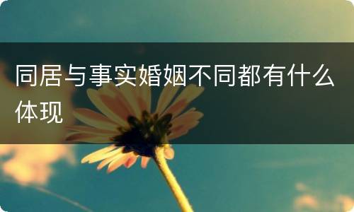 同居与事实婚姻不同都有什么体现