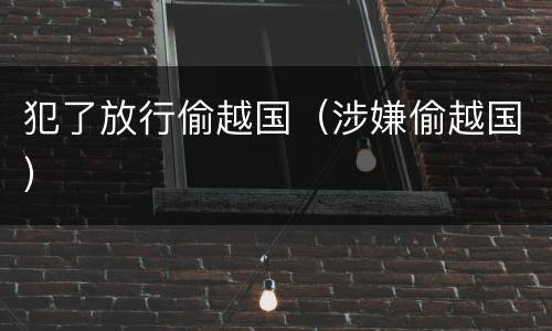 犯了放行偷越国（涉嫌偷越国）