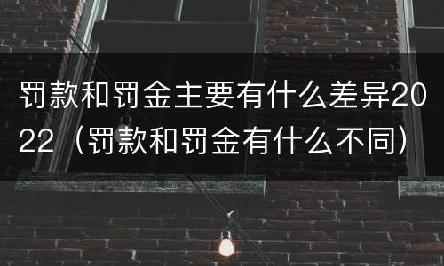 罚款和罚金主要有什么差异2022（罚款和罚金有什么不同）