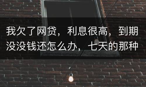 我欠了网贷，利息很高，到期没没钱还怎么办，七天的那种