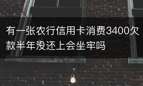 有一张农行信用卡消费3400欠款半年没还上会坐牢吗