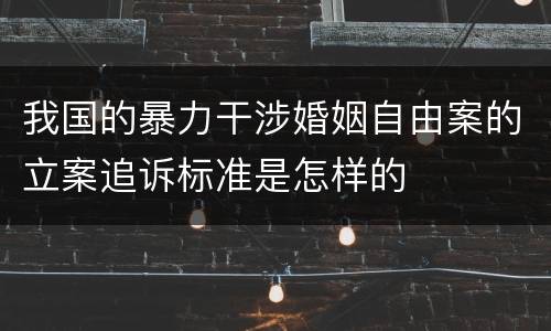我国的暴力干涉婚姻自由案的立案追诉标准是怎样的