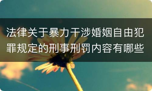 法律关于暴力干涉婚姻自由犯罪规定的刑事刑罚内容有哪些