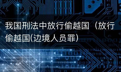 我国刑法中放行偷越国（放行偷越国(边境人员罪）
