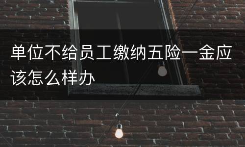 单位不给员工缴纳五险一金应该怎么样办