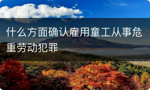 什么方面确认雇用童工从事危重劳动犯罪