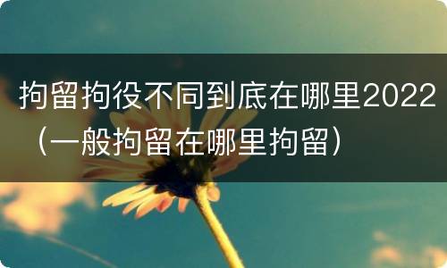 拘留拘役不同到底在哪里2022（一般拘留在哪里拘留）