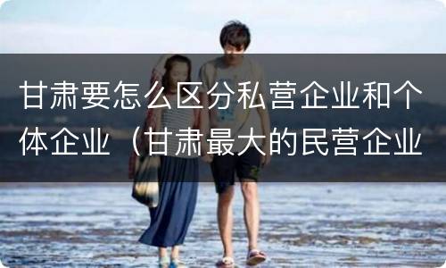 甘肃要怎么区分私营企业和个体企业（甘肃最大的民营企业）