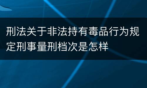刑法关于非法持有毒品行为规定刑事量刑档次是怎样
