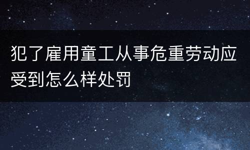 犯了雇用童工从事危重劳动应受到怎么样处罚