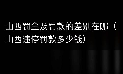 山西罚金及罚款的差别在哪（山西违停罚款多少钱）