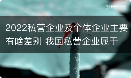 2022私营企业及个体企业主要有啥差别 我国私营企业属于