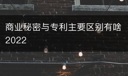 商业秘密与专利主要区别有啥2022