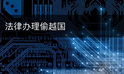 法律办理偷越国