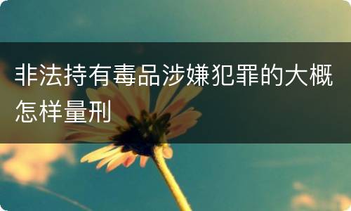 非法持有毒品涉嫌犯罪的大概怎样量刑