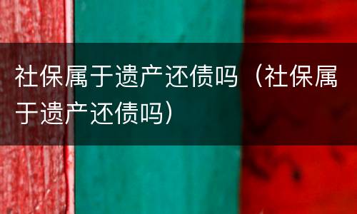 社保属于遗产还债吗（社保属于遗产还债吗）