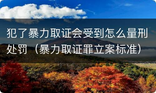 犯了暴力取证会受到怎么量刑处罚（暴力取证罪立案标准）