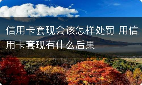 信用卡套现会该怎样处罚 用信用卡套现有什么后果