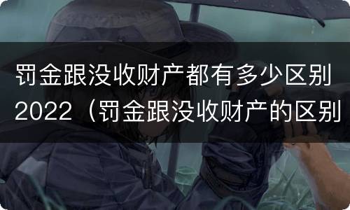 罚金跟没收财产都有多少区别2022（罚金跟没收财产的区别）