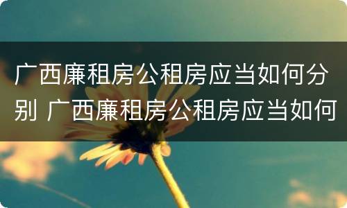 广西廉租房公租房应当如何分别 广西廉租房公租房应当如何分别管理