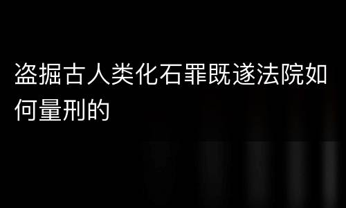 盗掘古人类化石罪既遂法院如何量刑的