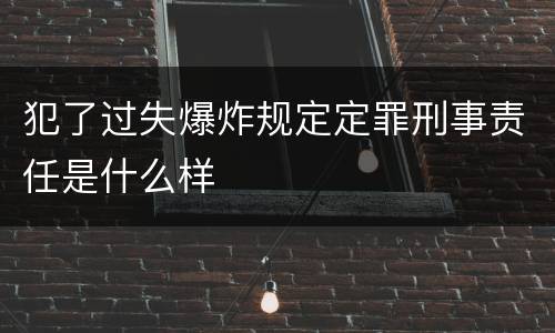 犯了过失爆炸规定定罪刑事责任是什么样