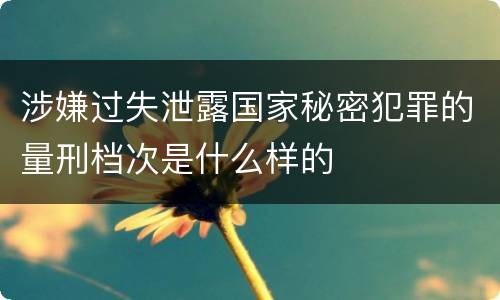 涉嫌过失泄露国家秘密犯罪的量刑档次是什么样的
