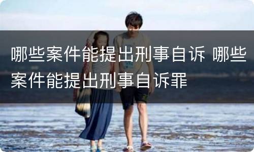 哪些案件能提出刑事自诉 哪些案件能提出刑事自诉罪