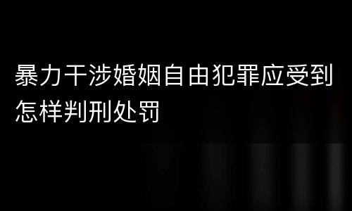 暴力干涉婚姻自由犯罪应受到怎样判刑处罚