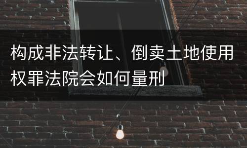 构成非法转让、倒卖土地使用权罪法院会如何量刑