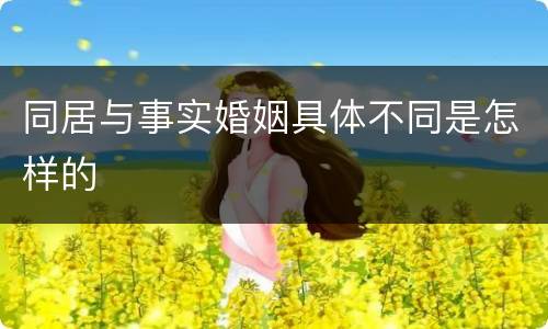 同居与事实婚姻具体不同是怎样的
