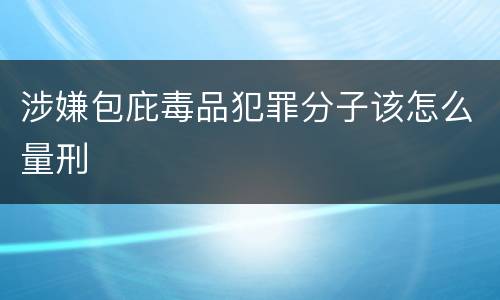 涉嫌包庇毒品犯罪分子该怎么量刑