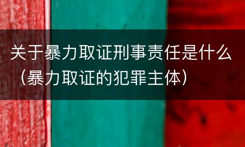 关于暴力取证刑事责任是什么（暴力取证的犯罪主体）