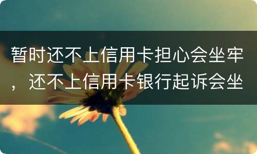 暂时还不上信用卡担心会坐牢，还不上信用卡银行起诉会坐牢吗