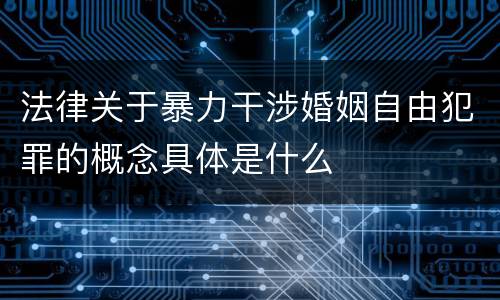 法律关于暴力干涉婚姻自由犯罪的概念具体是什么
