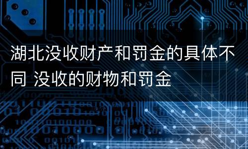 湖北没收财产和罚金的具体不同 没收的财物和罚金
