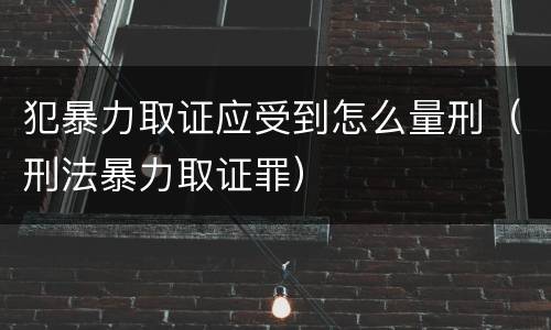 犯暴力取证应受到怎么量刑（刑法暴力取证罪）
