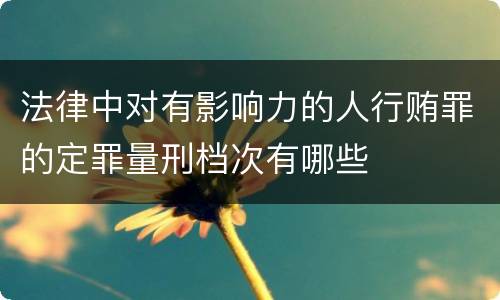 法律中对有影响力的人行贿罪的定罪量刑档次有哪些