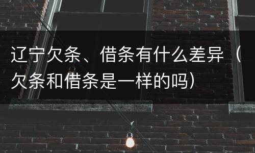 辽宁欠条、借条有什么差异（欠条和借条是一样的吗）