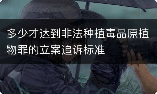 多少才达到非法种植毒品原植物罪的立案追诉标准