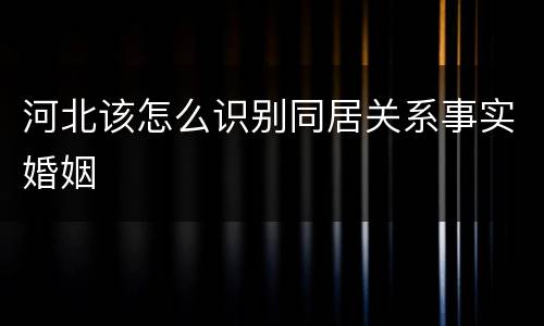河北该怎么识别同居关系事实婚姻