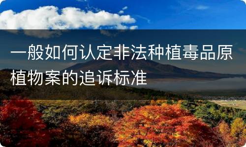 一般如何认定非法种植毒品原植物案的追诉标准