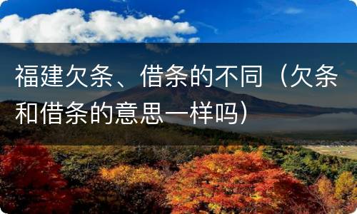 福建欠条、借条的不同（欠条和借条的意思一样吗）