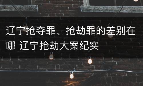 辽宁抢夺罪、抢劫罪的差别在哪 辽宁抢劫大案纪实
